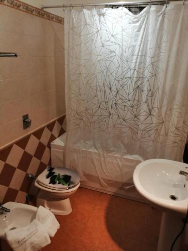 a bathroom with a toilet and a shower curtain at Torre Sances House in Birgi Vecchi