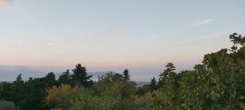 a group of trees with mountains in the background at Traditional house in Asfendiou in Kos Town