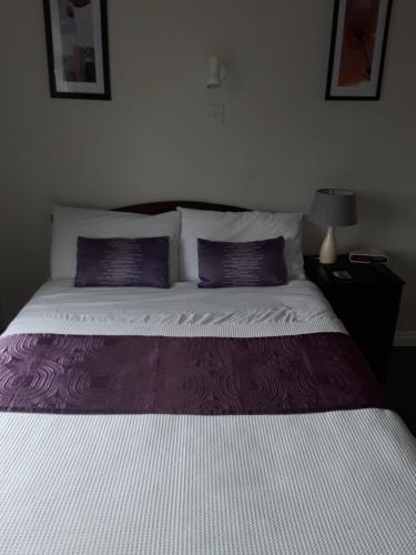 Gallery image of Riverview House in Athlone