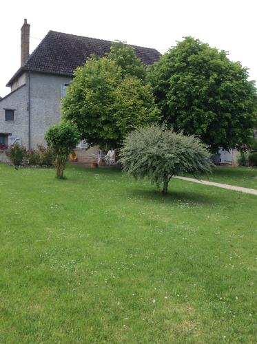two trees in a yard in front of a house at Au Temps Retrouvé in Courcelles