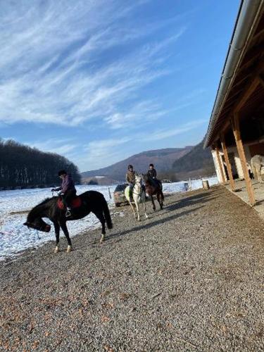a group of people riding horses near a building at Dara's Camping in Prod