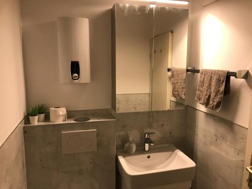 a bathroom with a sink and a mirror at Ferienapartment Resi in Willingen