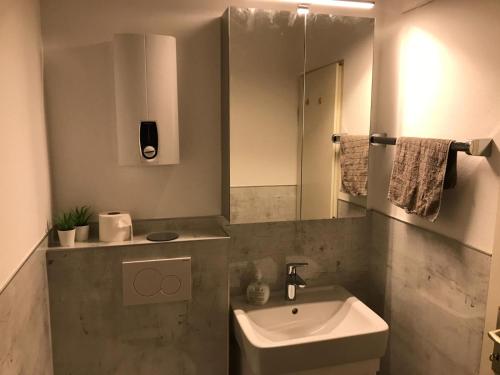 une salle de bain avec un lavabo et un miroir dans l'établissement Ferienapartment Resi, à Willingen