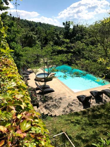 a swimming pool in the middle of a forest at Il Pezzatino in Rufina
