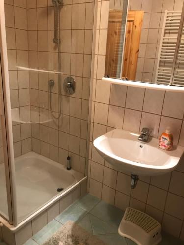 Bilik mandi di Ferienwohnung "Grünes Tor" bei Dresden