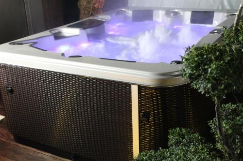 a jacuzzi tub in a room with plants at Hotel et Spa Le Lion d'Or in Pont-lʼÉvêque