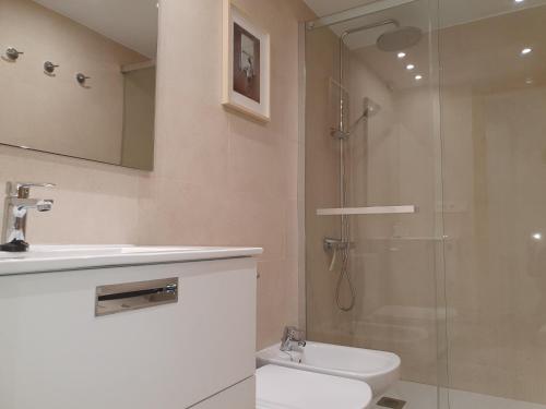 a bathroom with a shower and a toilet and a sink at Casco Histórico, con Parking incluido in Zaragoza