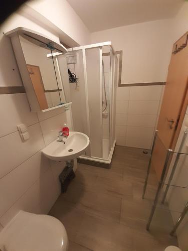 ein Bad mit einem WC, einem Waschbecken und einer Dusche in der Unterkunft Ferienwohnung Müller in Zirkow