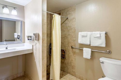 La salle de bains est pourvue d'une douche, d'un lavabo et de toilettes. dans l'établissement Econo Lodge Inn & Suites, à Dickson