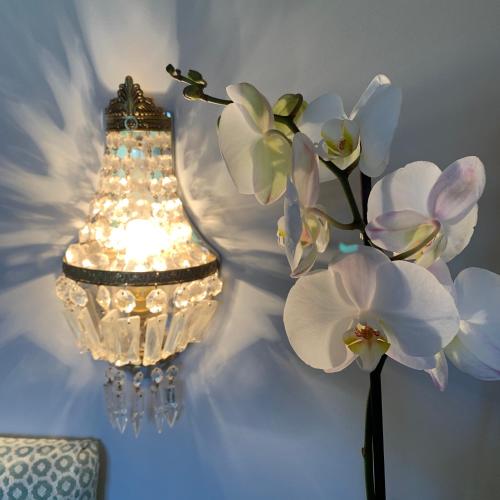 a lamp and some white flowers on a wall at Domaine du Plessis in Le Plessis-Luzarches