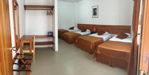 Cama o camas de una habitación en New Galapagos Hostelling