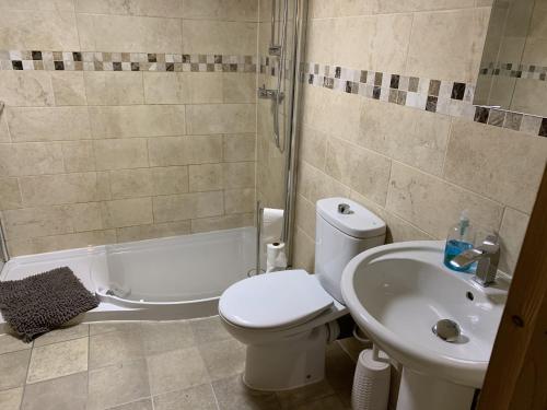 a bathroom with a toilet and a sink and a shower at Southernwood - Family Lodge in Didcot