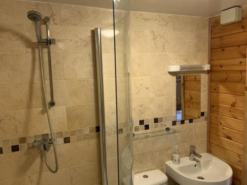 uma casa de banho com um chuveiro e um lavatório. em Southernwood - Garden Lodge 1 em Didcot