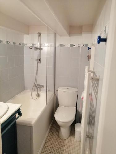 a bathroom with a toilet and a shower and a sink at Studio CHAUDES AIGUES in Chaudes-Aigues