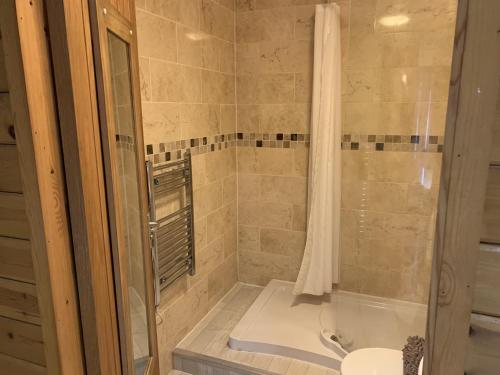 a bathroom with a shower and a sink at Southernwood - Garden Lodge 2 in Didcot