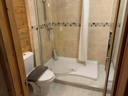 een badkamer met een douche, een toilet en een bad bij Southernwood - Garden Lodge 4 in Didcot
