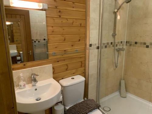 La salle de bains est pourvue de toilettes, d'un lavabo et d'une douche. dans l'établissement Southernwood - Garden Lodge 5, à Didcot