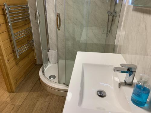 a bathroom with a sink and a shower and a toilet at Southernwood - Garden Lodge 8 in Didcot