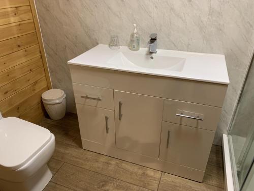 a bathroom with a white sink and a toilet at Southernwood - Garden Lodge 9 in Didcot