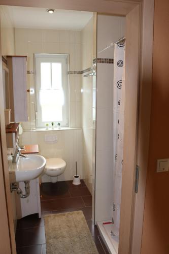 ein Bad mit einem Waschbecken, einem WC und einer Dusche in der Unterkunft Kuschelige Ferienwohnung nahe Kronach in Kronach