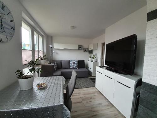 a living room with a couch and a television at Stella in Sanok