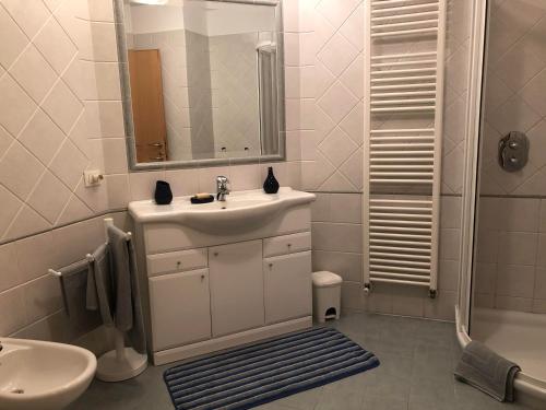 La salle de bains est pourvue d'un lavabo, d'un miroir et d'une douche. dans l'établissement Appartamento a Spinazzeda cuore di Cles, à Cles