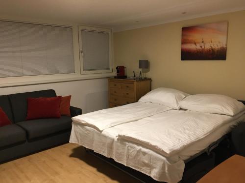 Cosy studio flat in the quiet area with own garden, free parking and direct public transport link to the centre