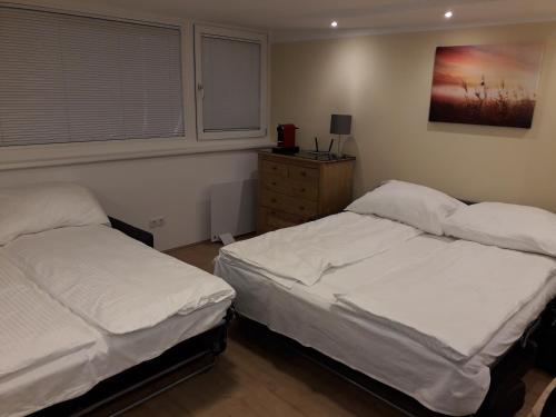 a bedroom with two beds and a dresser at Cosy flat in the quiet area with own garden, free parking and direct public transport link to the centre in Vienna