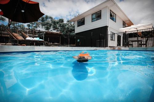 a swimming pool with a toy in front of a house at Swimming Pool Holiday Villa in Auckland