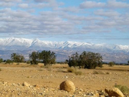 a view of a desert with mountains in the background at Maison d hôtes Tioute Chez Abdelmajid in Tiout