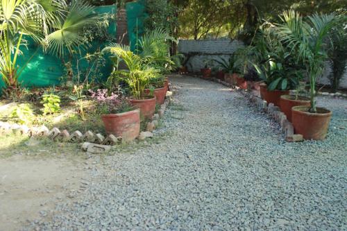 Ramya Resort & Spa – Photos 4