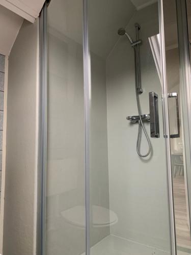 a shower with a glass door in a bathroom at Appartement aan het strand De Zeemeermin in Zoutelande