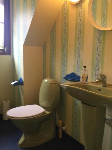 La salle de bains est pourvue de toilettes et d'un lavabo. dans l'établissement Flygarevägen, à Höllviken