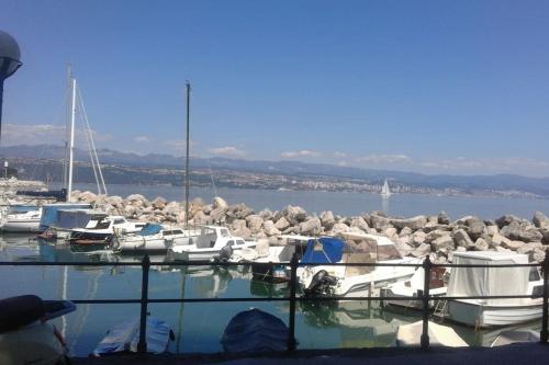 a group of boats docked in a marina at Apartment Toni in Ičići