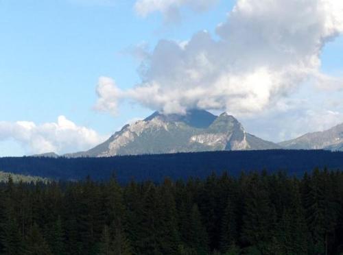 a mountain in the distance with trees in front of it at Leśne Zacisze in Murzasichle