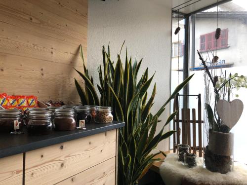 a kitchen with plants and jars on a counter at Hotel Crystal Interlaken in Interlaken
