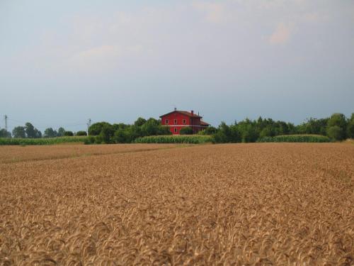 a red house in the middle of a wheat field at Agriturismo Fondo Gioconda in Marcon