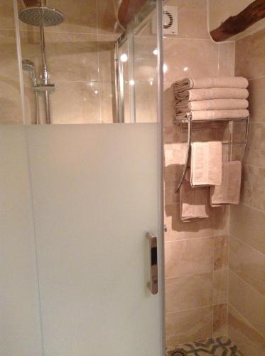 a shower with a glass door in a bathroom at Kayenne holiday rentals in Iznájar