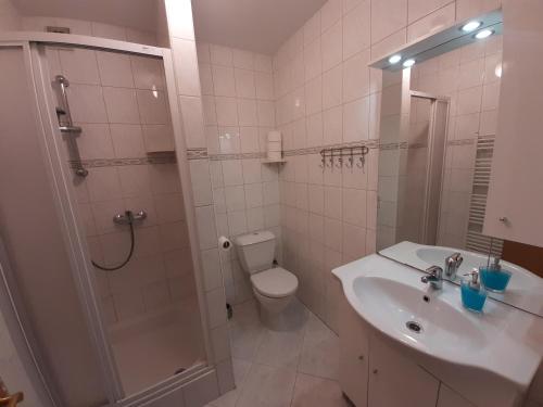 ein Bad mit einer Dusche, einem Waschbecken und einem WC in der Unterkunft Penzion Oliver in Žacléř