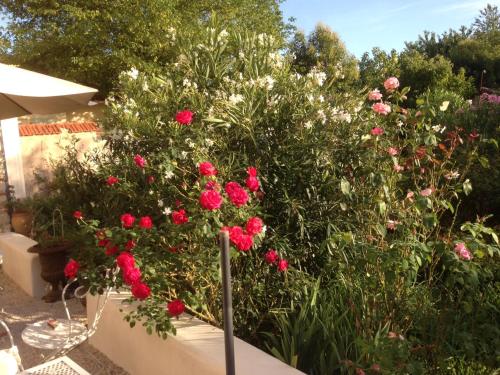 un giardino con rose rosse e altri fiori di L'Ecrin a Villeneuve-sur-Lot