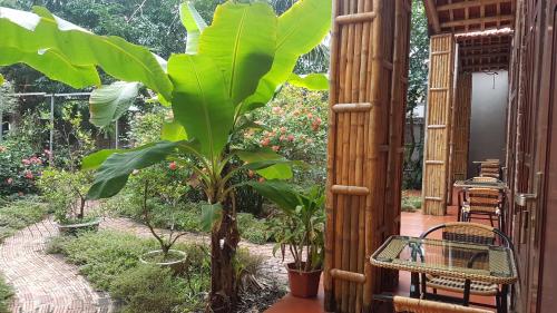 a garden with a large banana tree and a chair at Tam Coc Mountain Lake Homestay in Ninh Binh