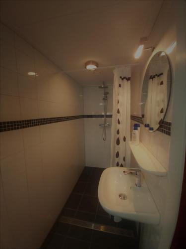 a white bathroom with a sink and a shower at De Hammerhoeve in Dalfsen