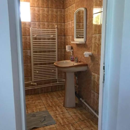 a bathroom with a sink and a mirror at Casa Lenuta in Mila Douăzeci şi Trei