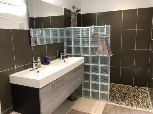 a bathroom with a sink and a mirror at Villa Les Trois Moulins in Saint-François