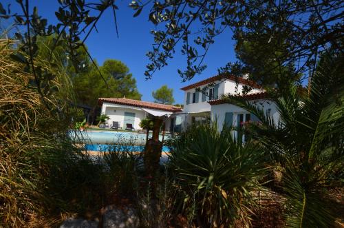 une maison avec une piscine et des arbres dans l'établissement L Olivadou B&B, à Trans-en-Provence