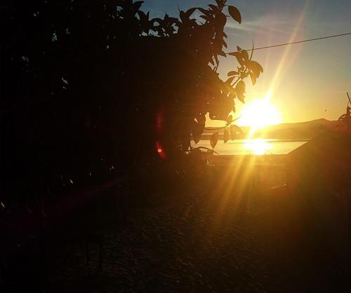 a sunset behind a tree with the sun setting at Casa Vapahí in Barra de Valizas
