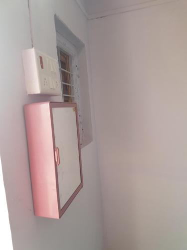a pink refrigerator with a mirror on a wall at Jandyal Farm House in Malshej Ghat