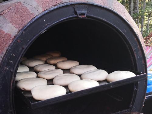 Fotografie z fotogalerie ubytování Lodge Palguin Alto v destinaci Palguín