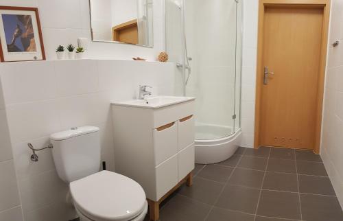 Vonios kambarys apgyvendinimo įstaigoje Frog Apartment - 2 bedrooms and living room