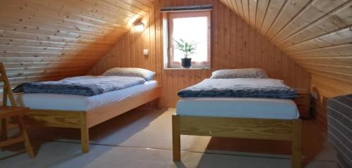 two beds in a wooden room with a window at Wohnung Auerand in Nienhagen